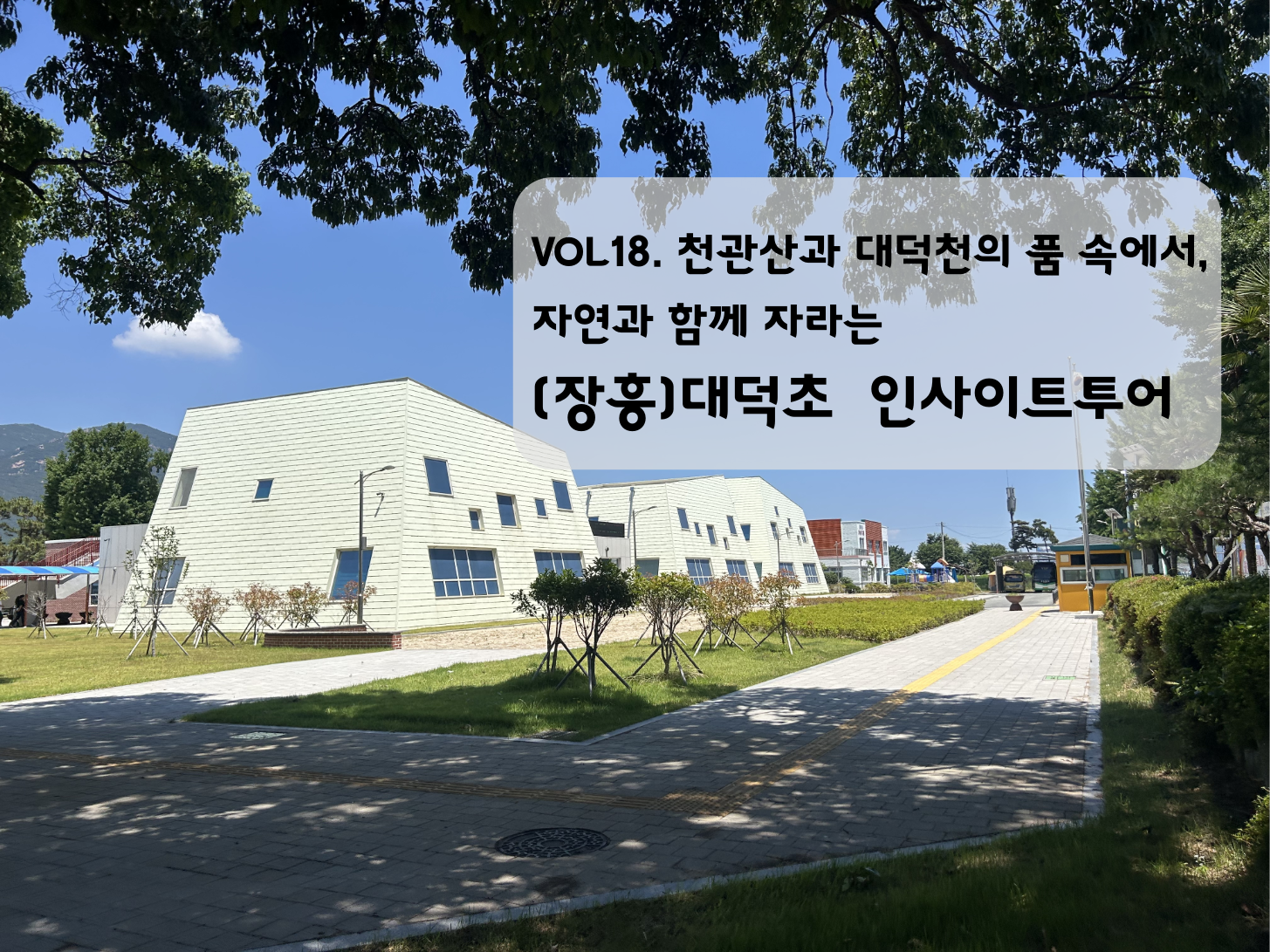 Vol. 18  천관산, 대덕천의 품속에서 자연과 함께 자라나는 (장흥)대덕초등학교 인사이트투어